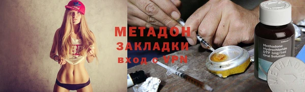 прущие грибы Аркадак