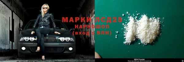прущие грибы Аркадак