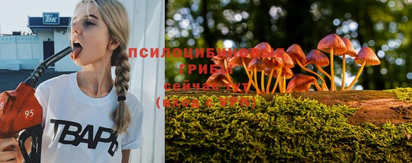 альфа пвп Беломорск