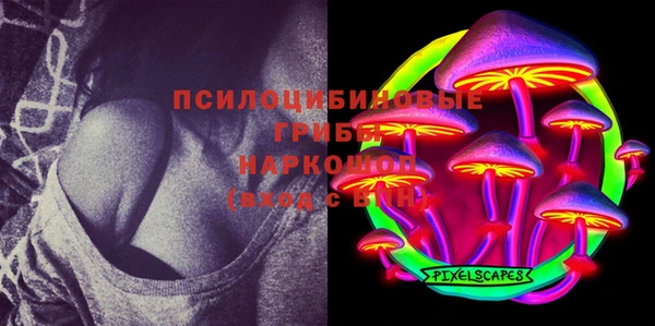 крисы Белокуриха