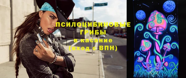 прущие грибы Аркадак