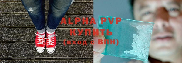 крисы Белокуриха