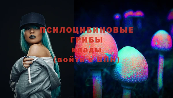 прущие грибы Аркадак