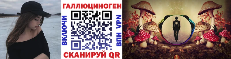 Псилоцибиновые грибы GOLDEN TEACHER  Кингисепп 