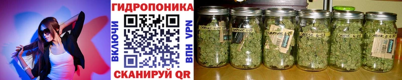Марихуана Ganja  Кингисепп 